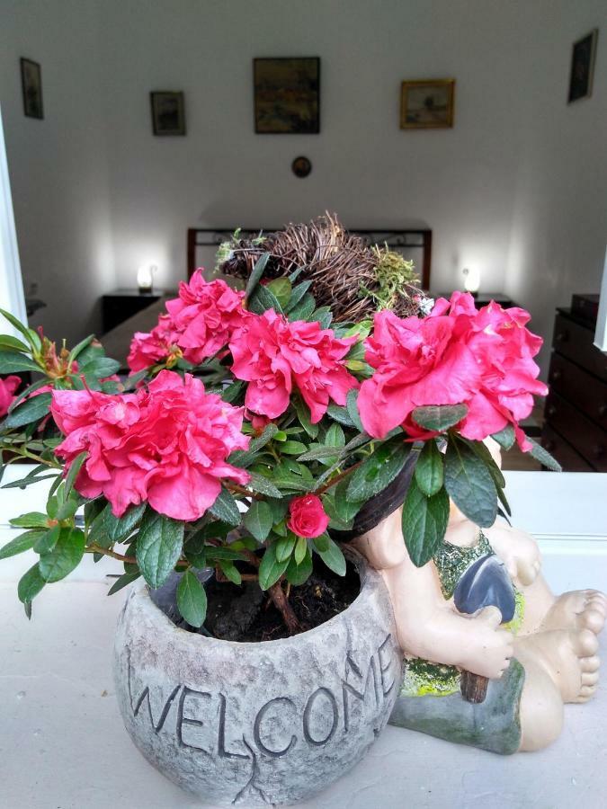Homestay Mama *